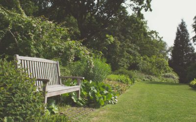 Entretien d’espaces verts à Nancy : prendre soin des jardins !